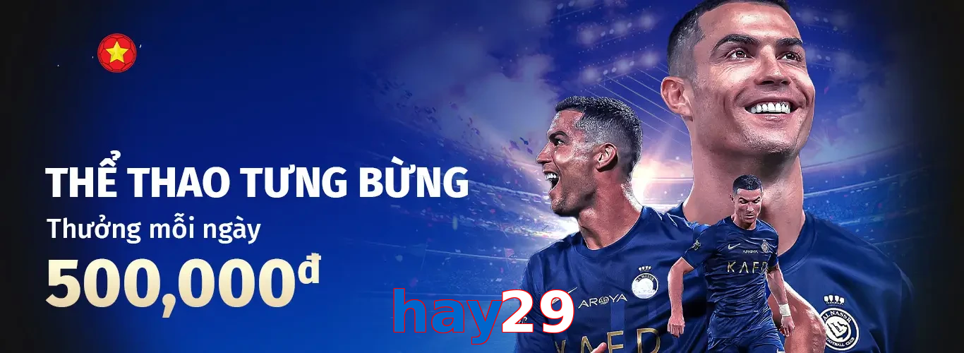 hay29